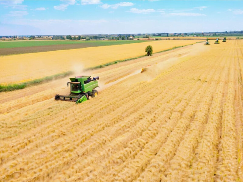 Agriculture